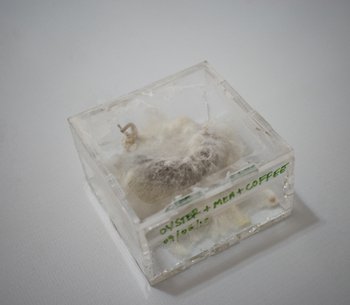 fablab img